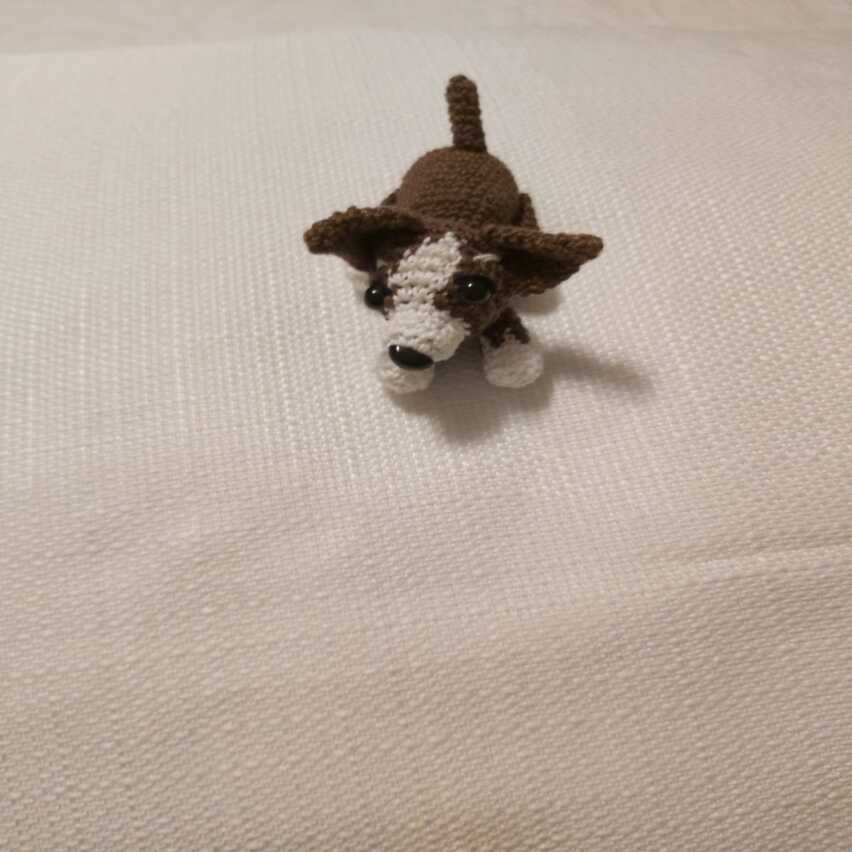 Perro pequeño