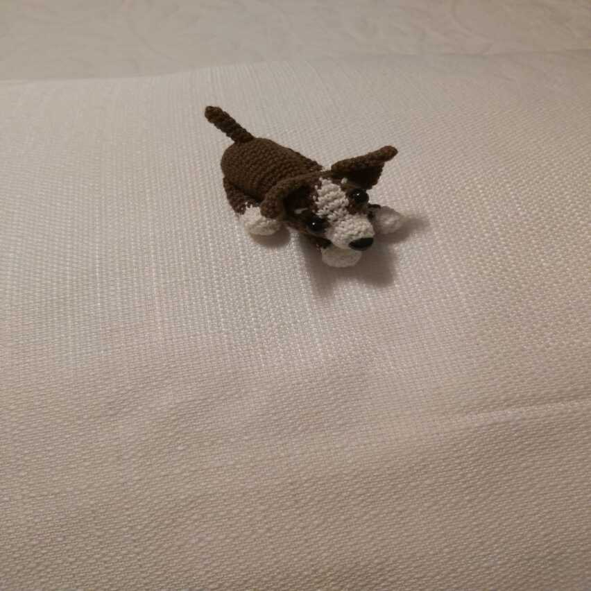 Perro pequeño